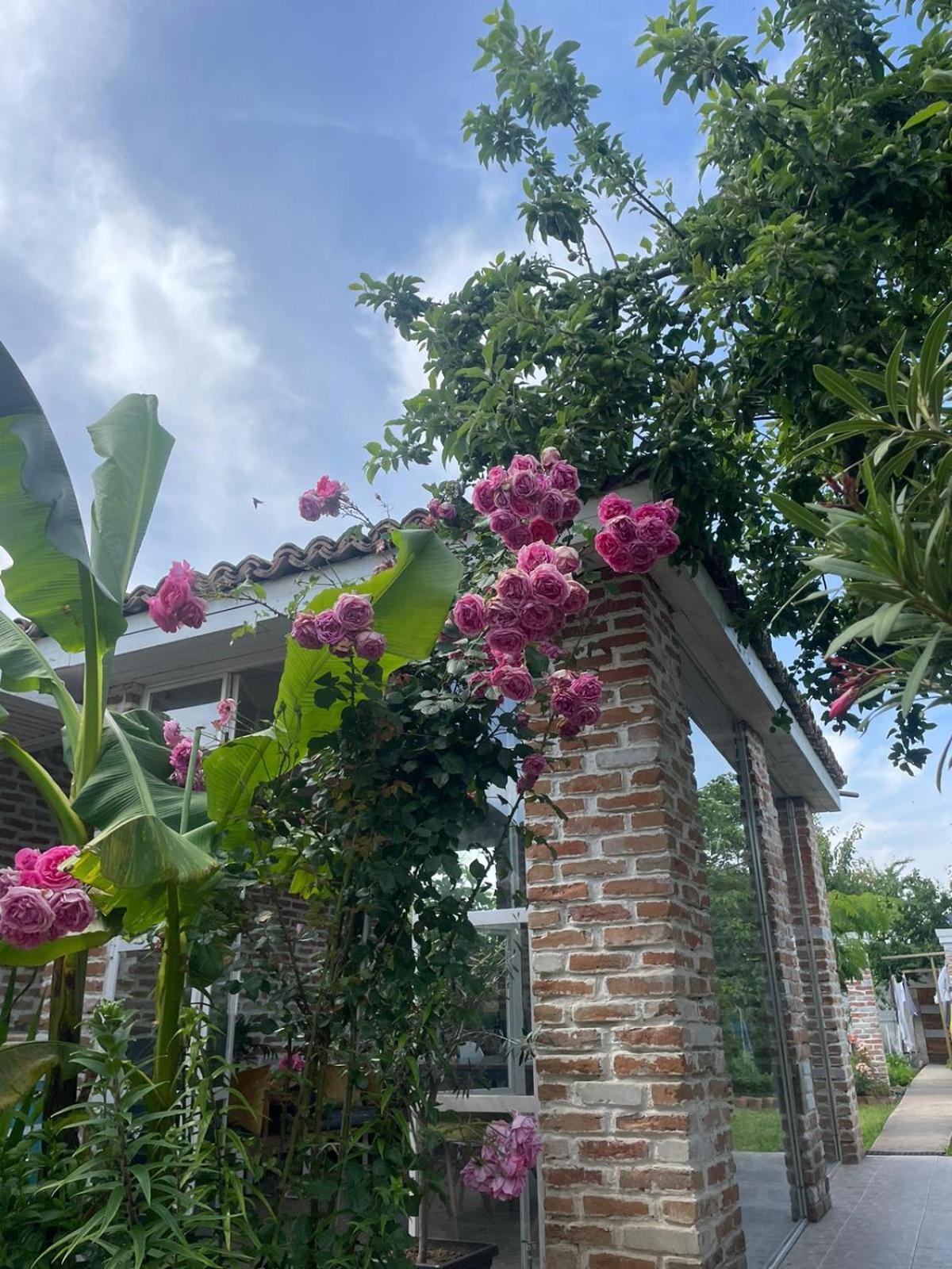 Casa Mediterana Două Mai Esterno foto